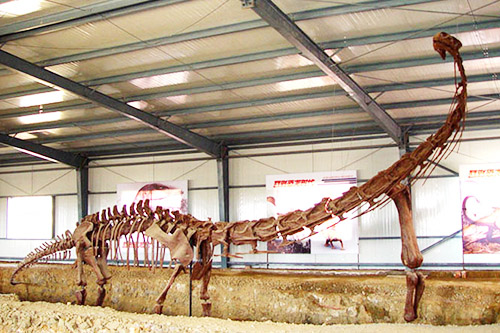 long neck dinosaur with crest on head