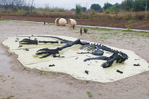 biggest t rex skeleton