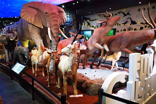 Indoor Exhibition Animatronic Mechanical Animal,Animatronic Animal