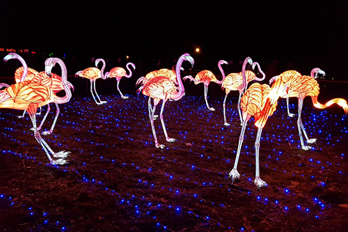 Handmade Animal Lantern Lights,Modern Art Lantern