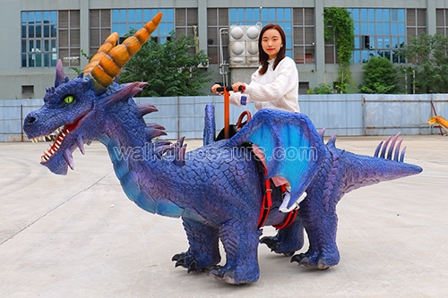 Dragon Rides